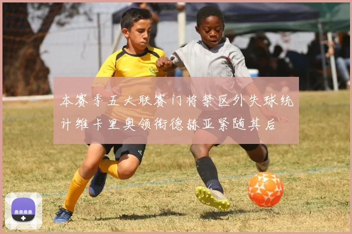 本赛季五大联赛门将禁区外失球统计维卡里奥领衔德赫亚紧随其后