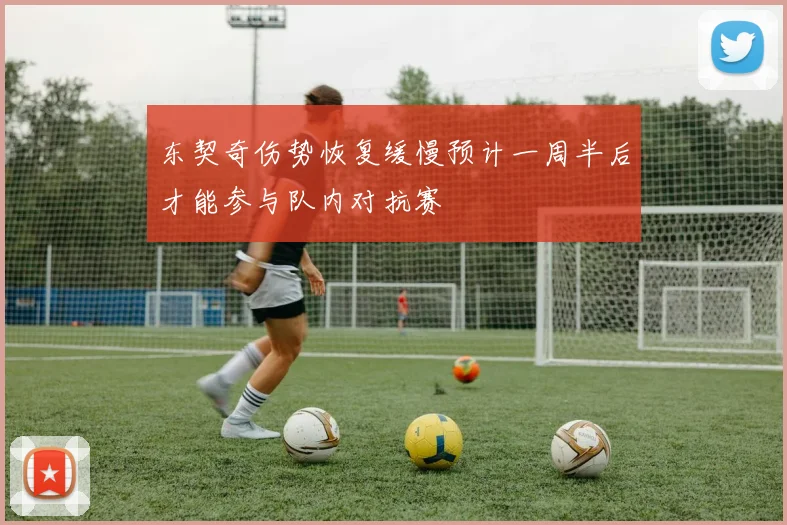 东契奇伤势恢复缓慢预计一周半后才能参与队内对抗赛
