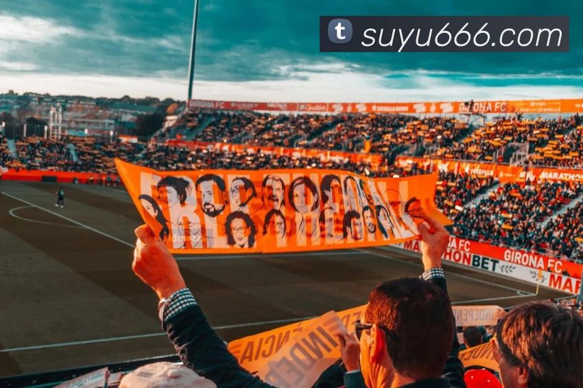 星空体育官方版官网平台生态图